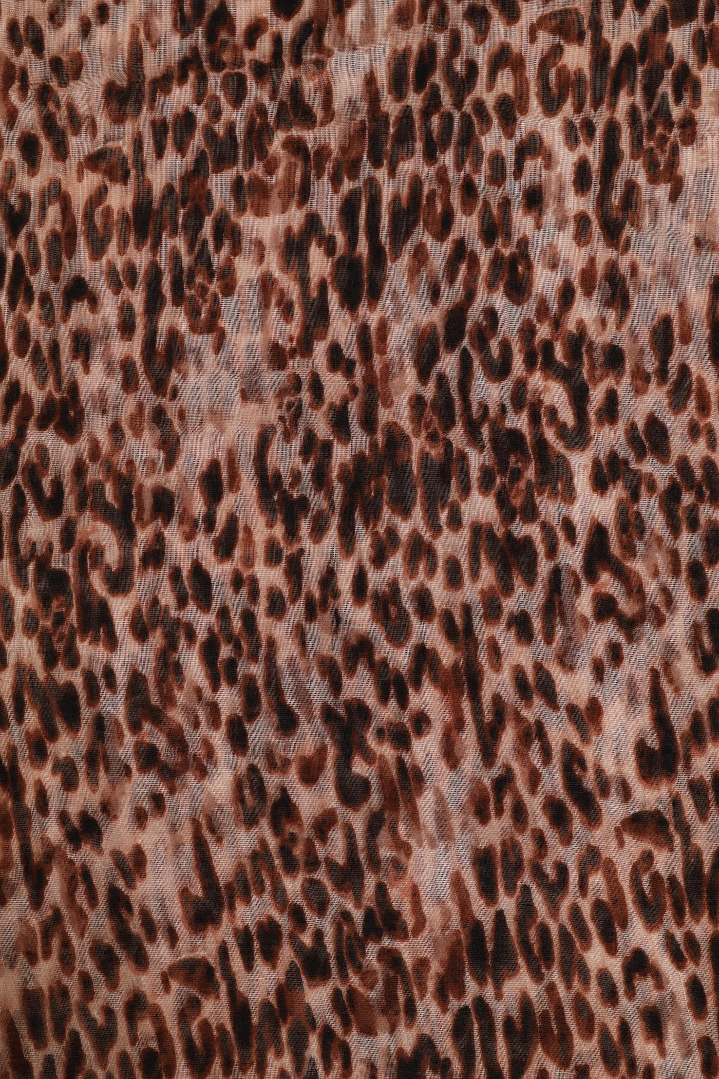 Animal Print Sheer Scarf - Brown - Image 2