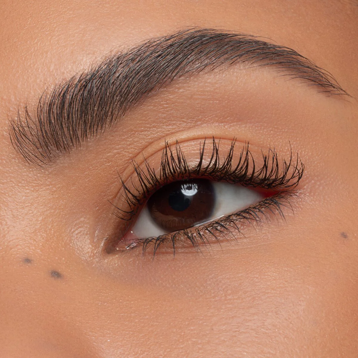 Essence Lash Without Limits Extreme Lengthening & Volume Mascara - Image 8