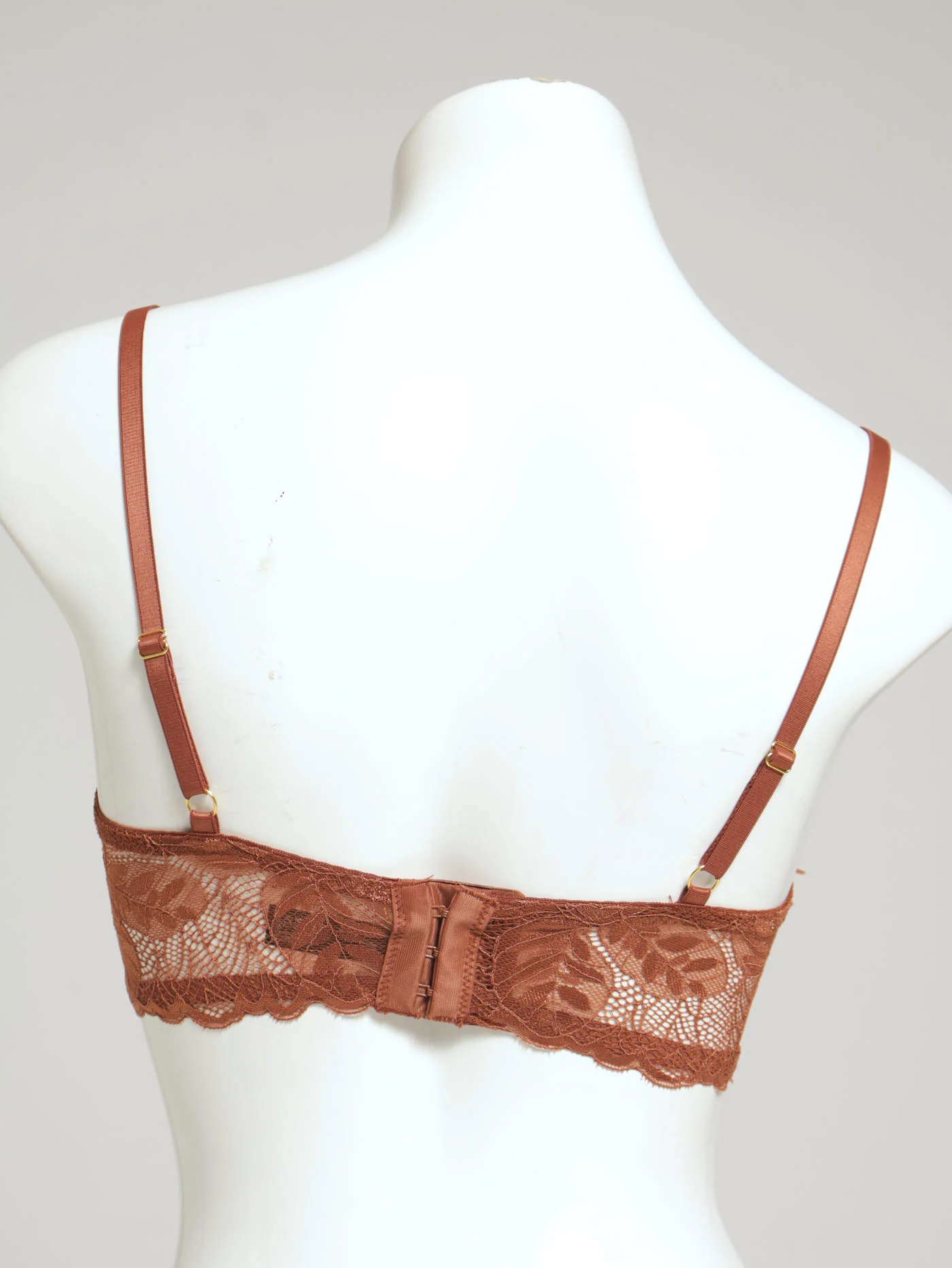 Imperial Topaz Lace Longline Braid Detail Bra - Bronze - Image 2