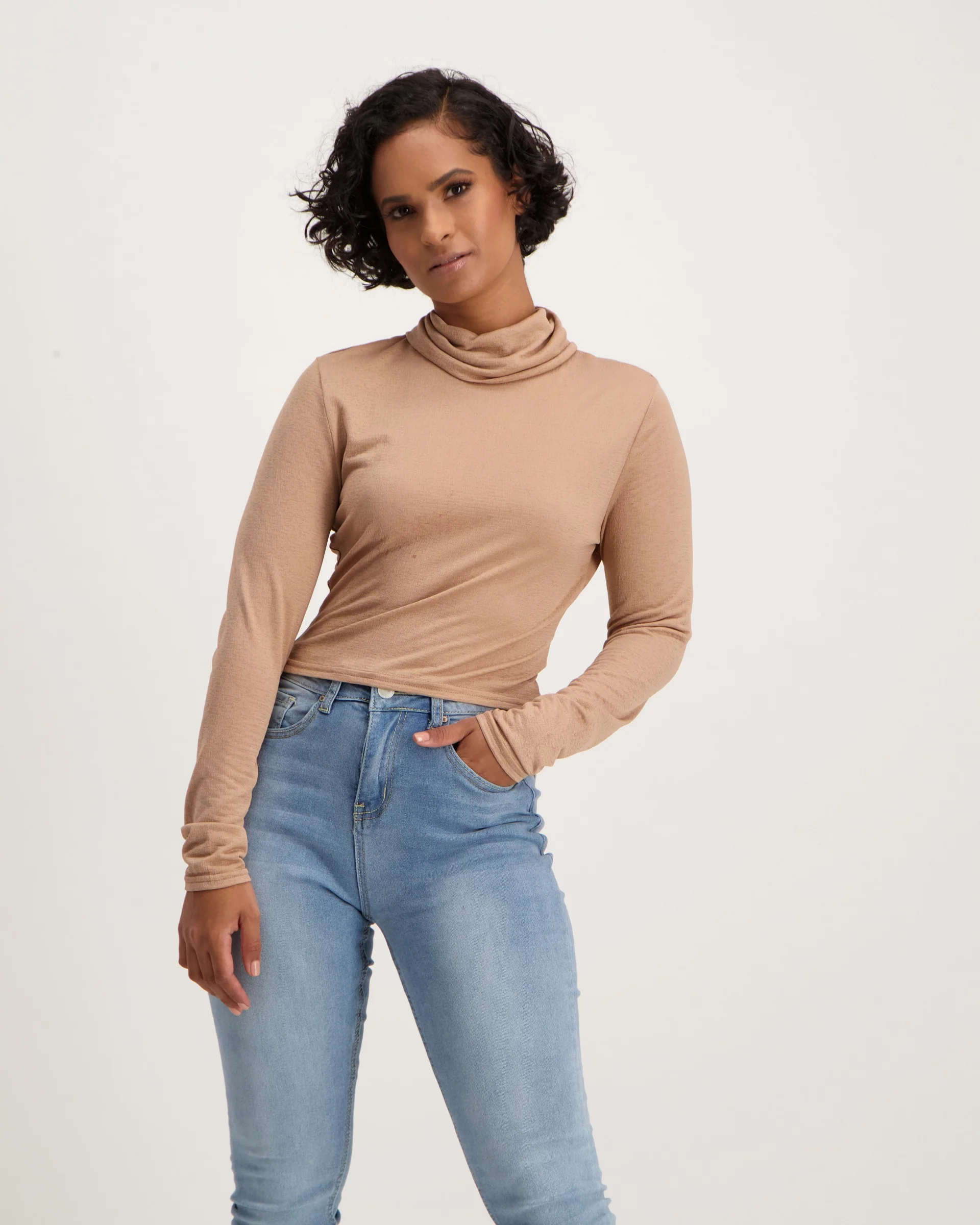 Long Sleeve Crop Crinkle Turtle Top