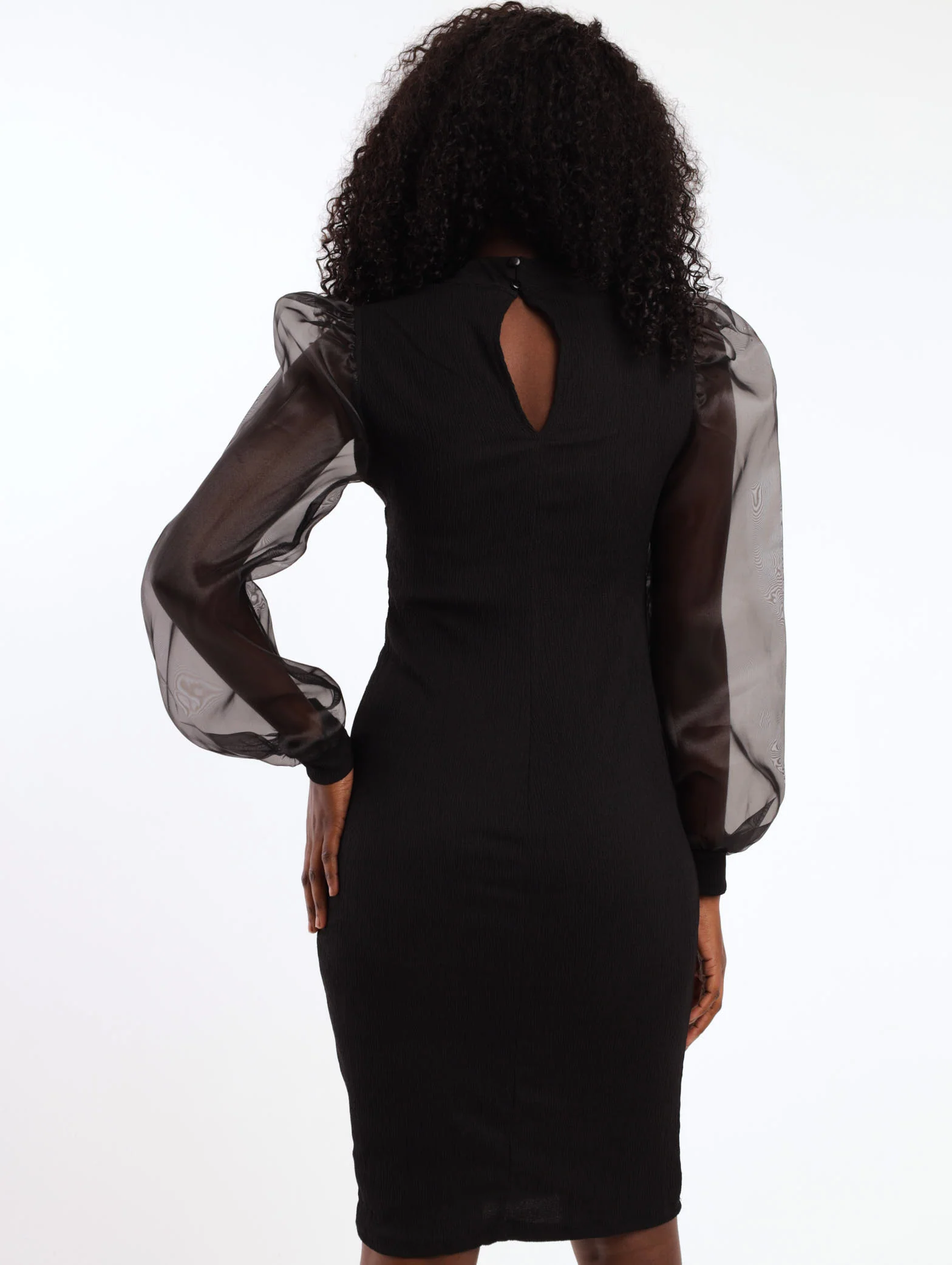 Organza Sleeve Bodycon Dress - Black - Image 4