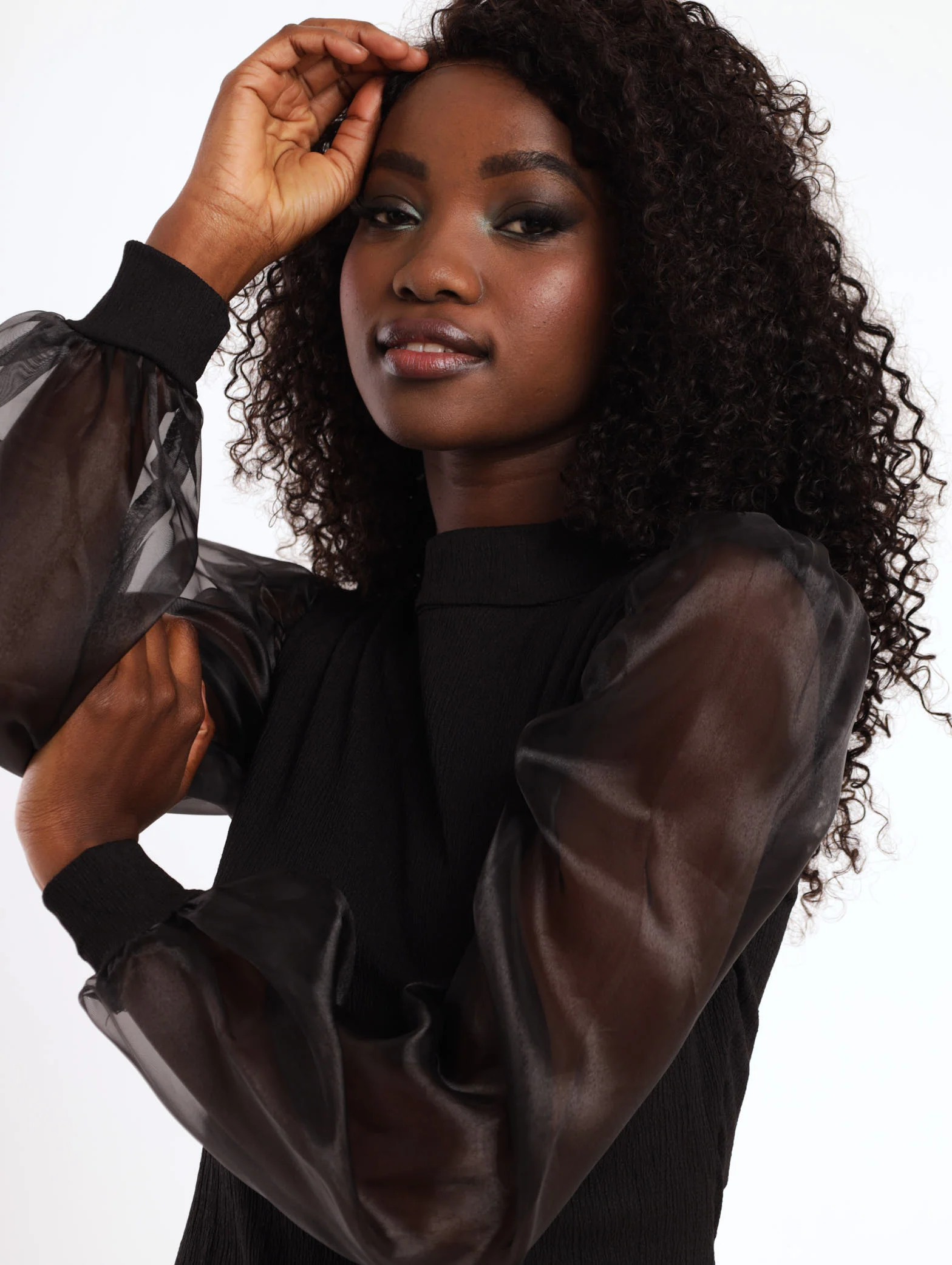 Organza Sleeve Bodycon Dress - Black - Image 6