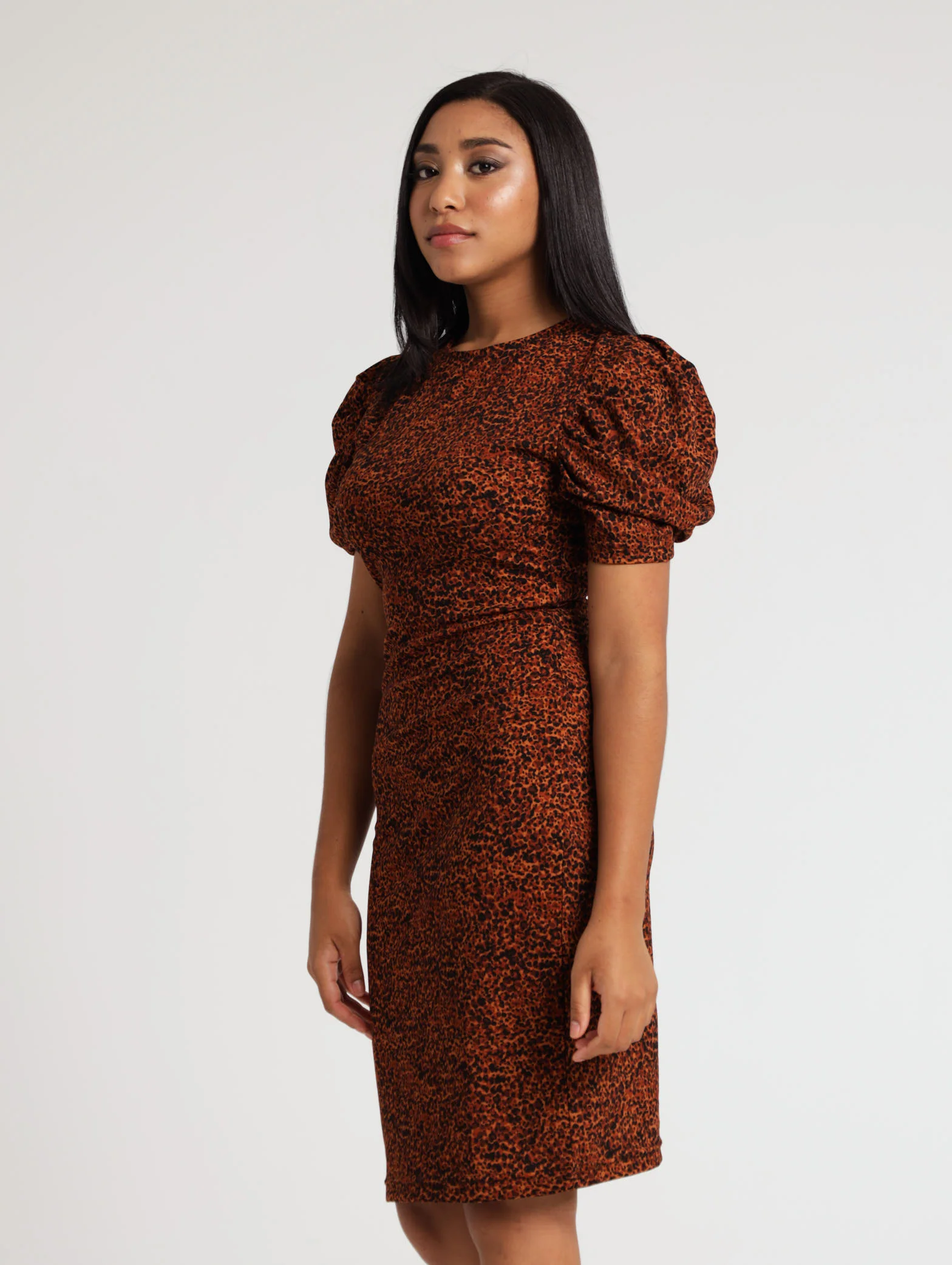 Ruched Animal Print Dress - Tan - Image 3