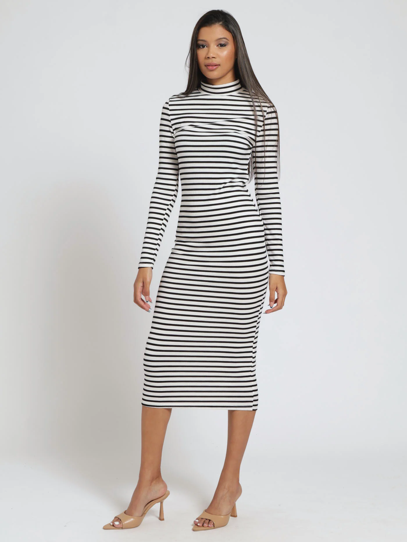 Long Sleeve Stripe Rib Turtle Neck Midaxi Dress - White/Black