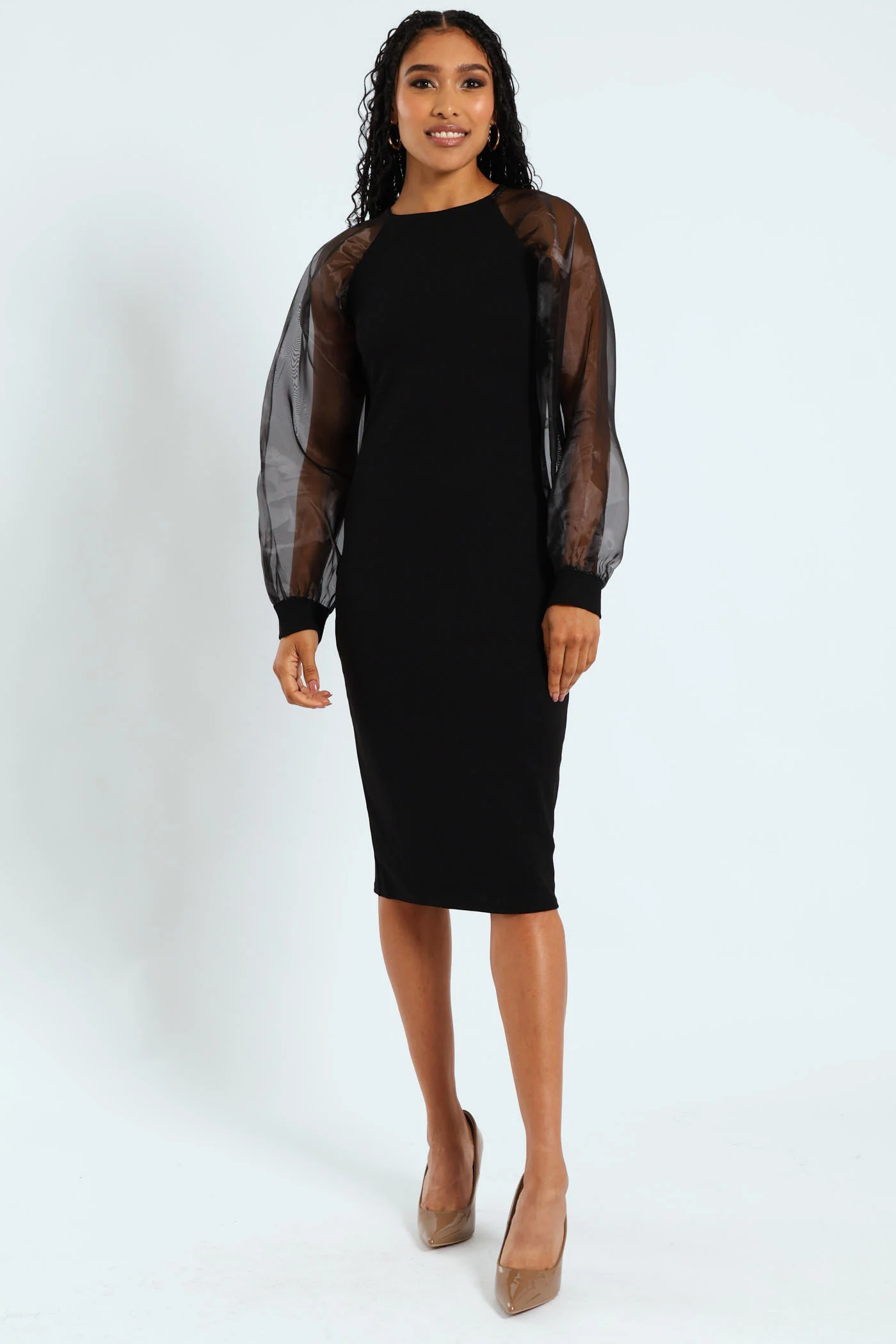 Organza Long Sleeve Bodycon Dress - Black