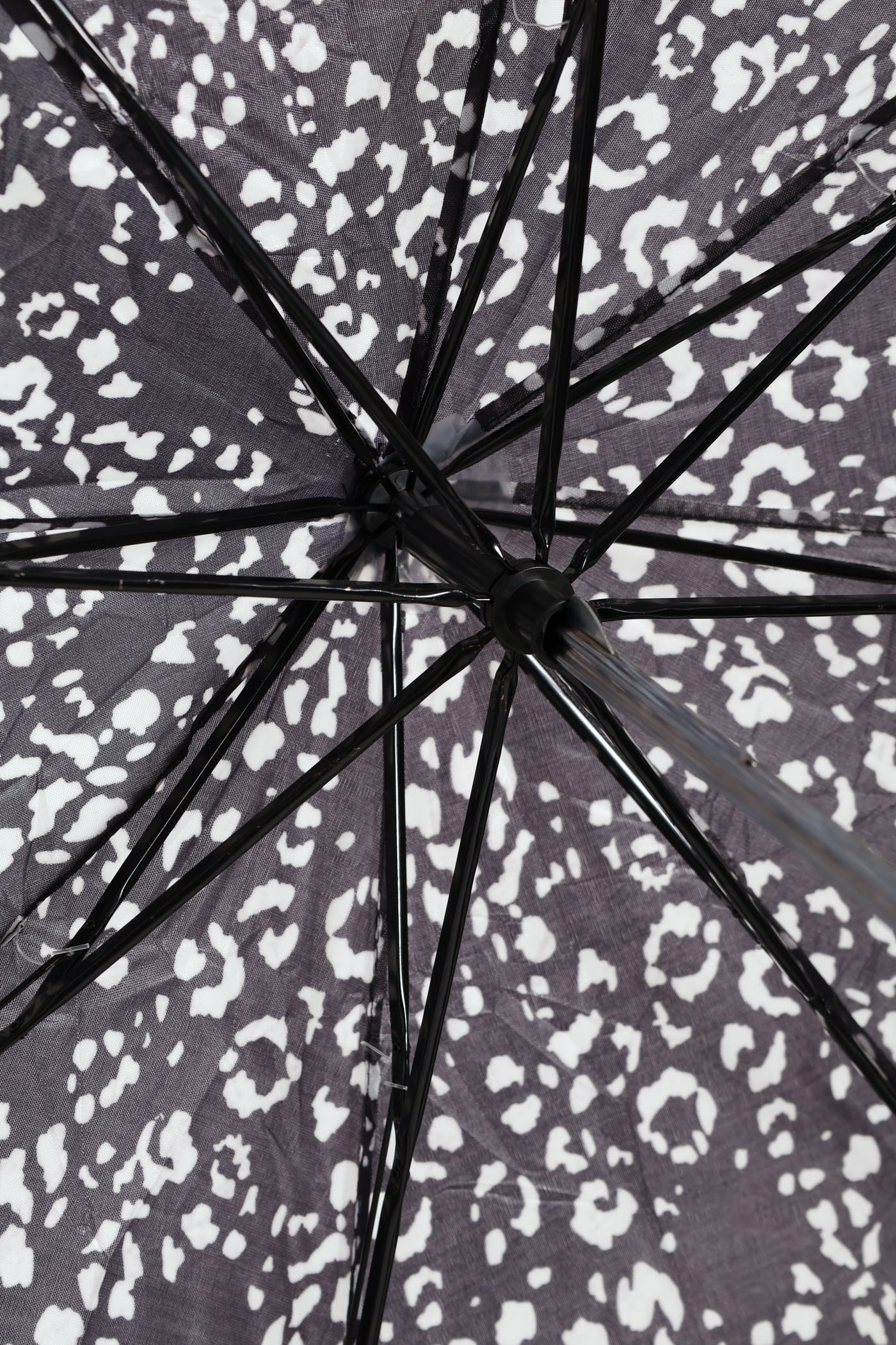 Petal Print Umbrella - Black - Image 3