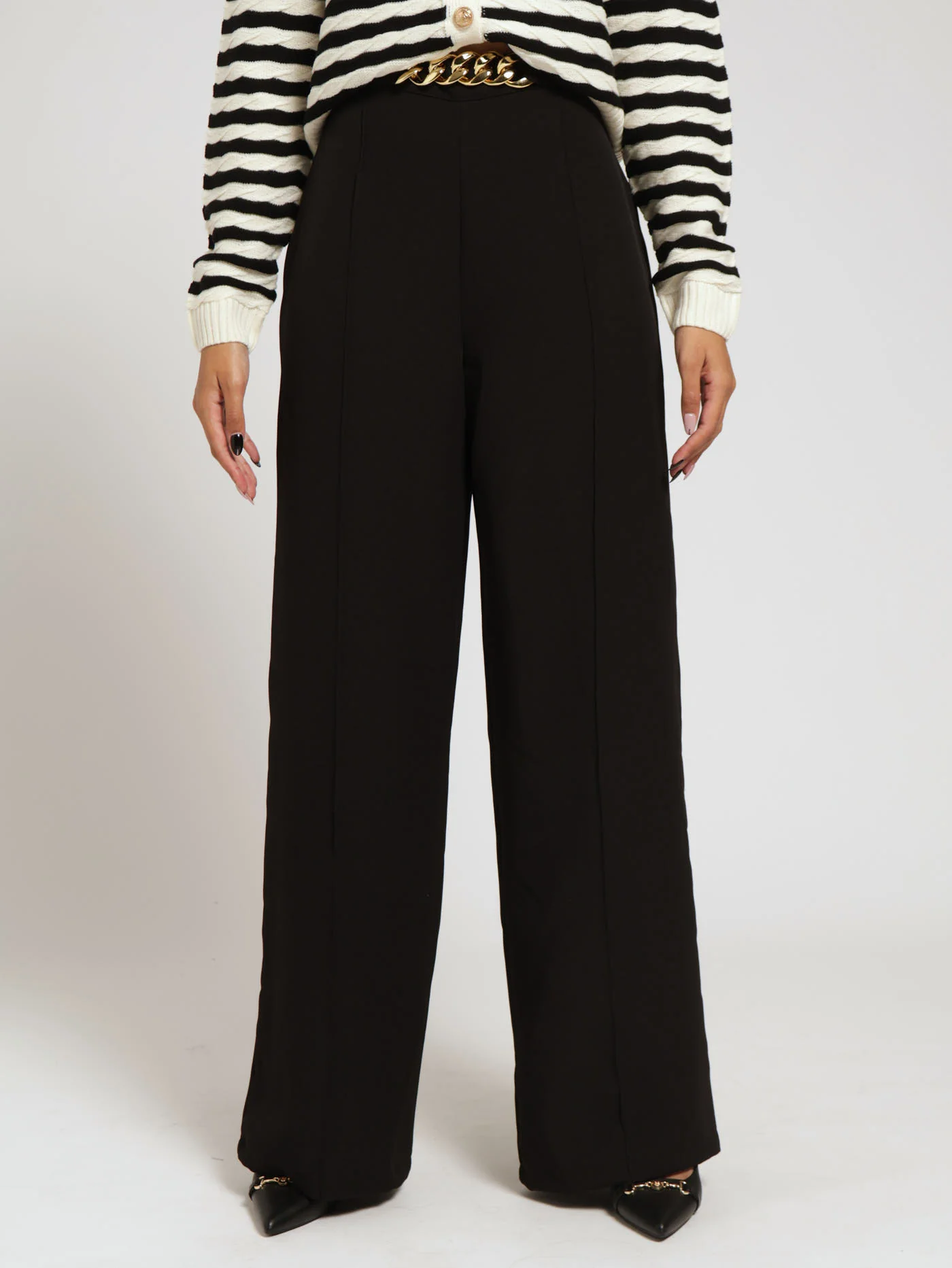 Pin Tuck Wideleg Pants With Buckle Trim - Jet Black