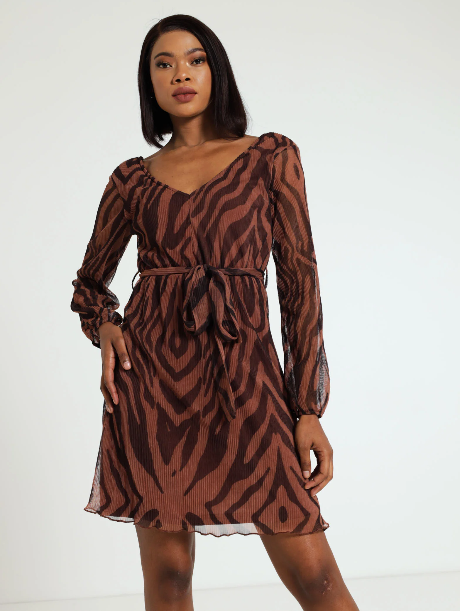 Pleated Mesh Waist Tie Dress