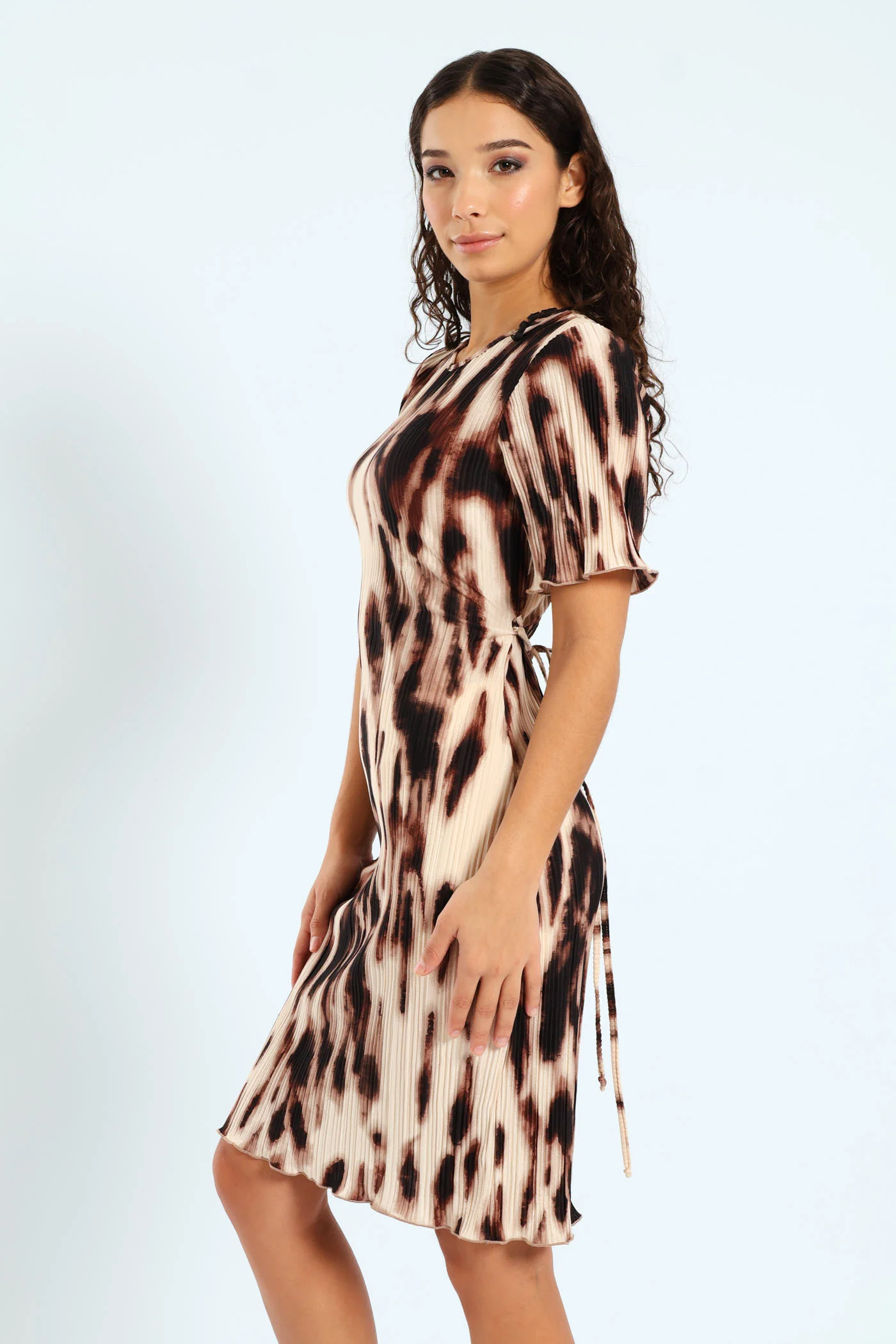 Short Sleeve Waisted Bodre Dress - Animal - Image 4
