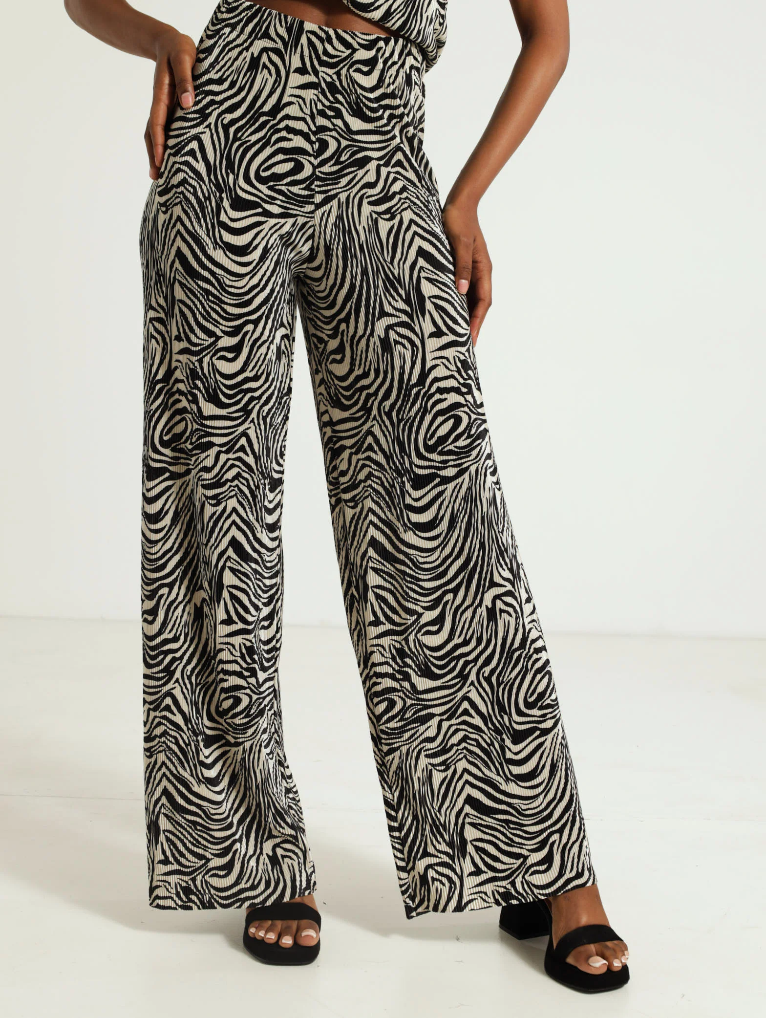 Zebra Animal Bodre Pants