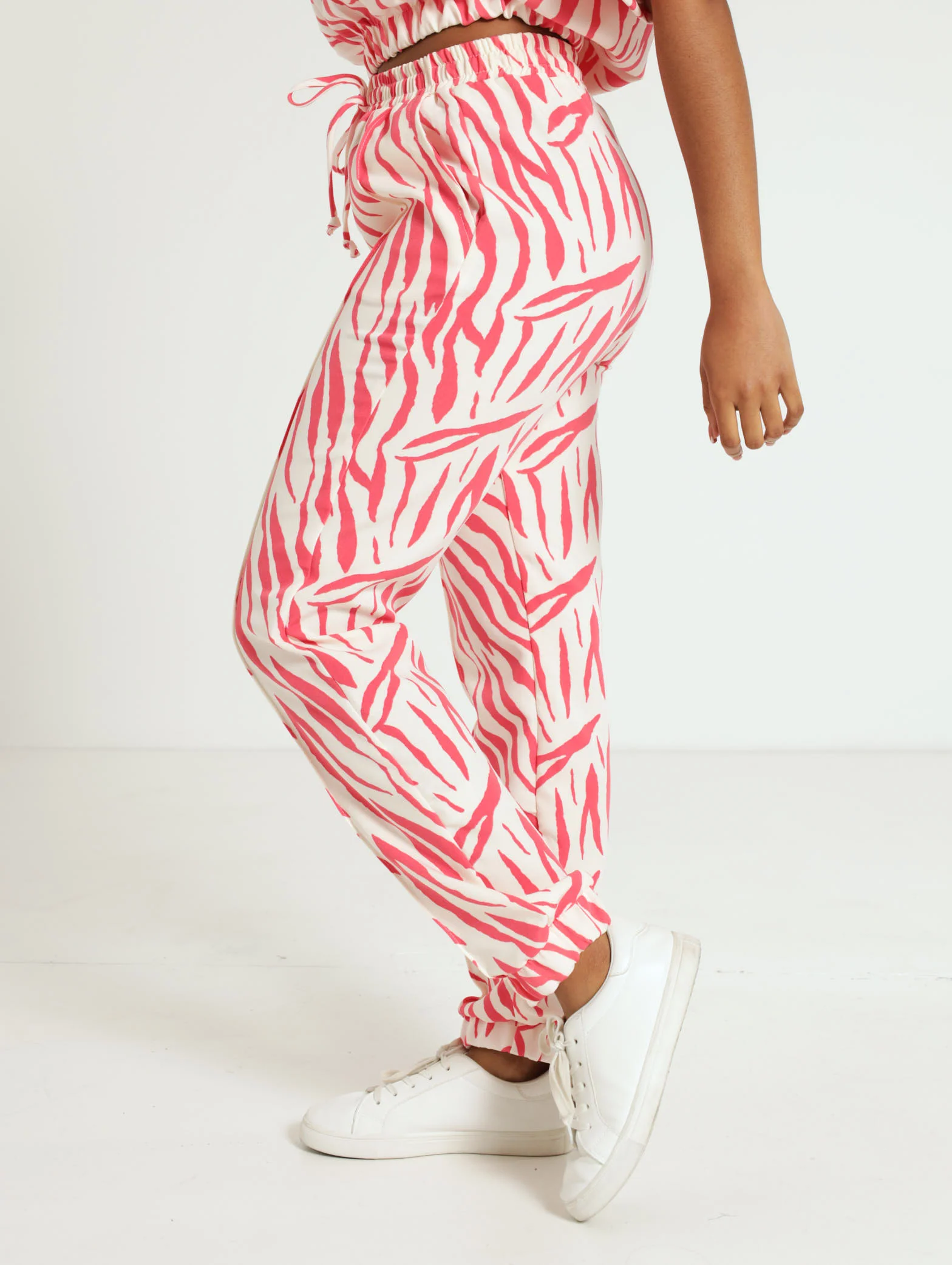 Zebra Jogger - Image 2